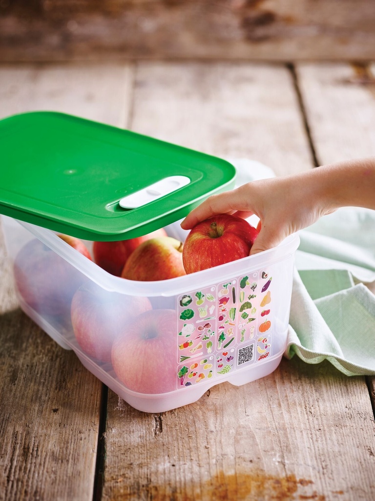 Set Snack con Divisiones Rectangular 1L(2) (8)