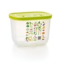 Set Snack con Divisiones Rectangular 1L(2) (11)