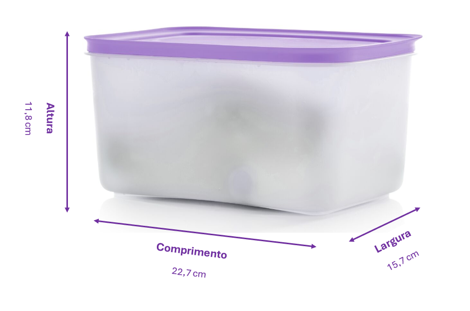 Caja Congelación 2,5L (3)