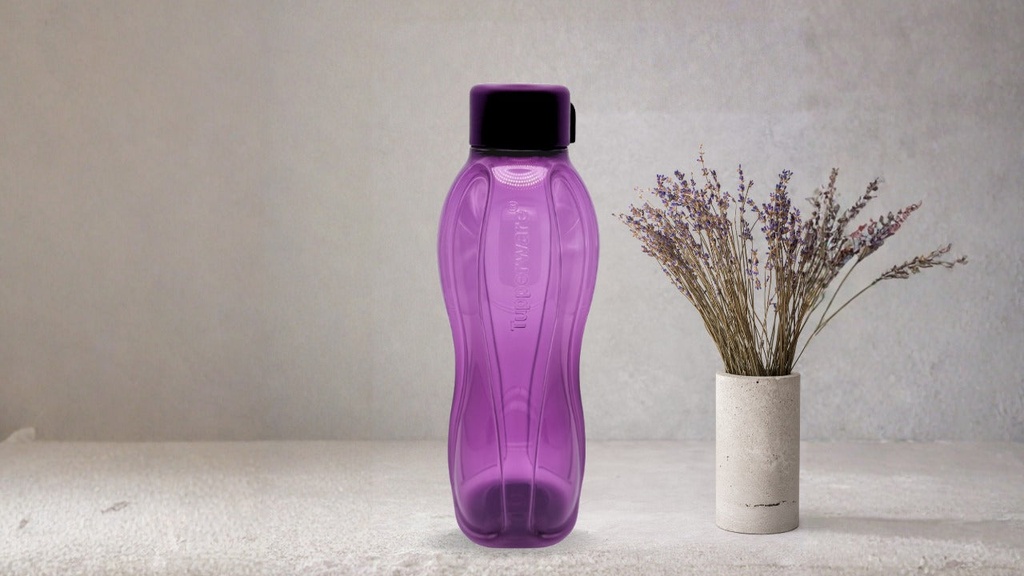 Eco Botella de 1 litro (1)
