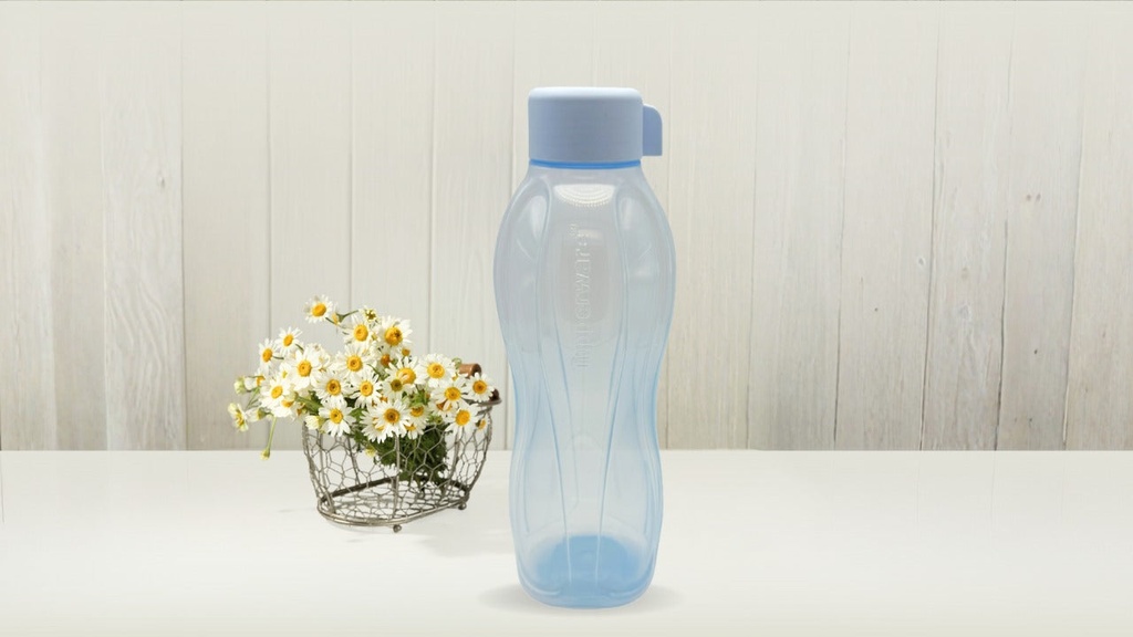 Eco Botella de 1 litro (6)