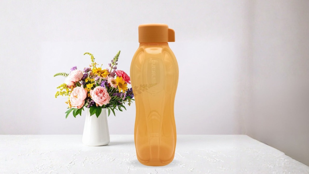 Eco Botella de 1 litro (9)