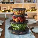 Plato Cristalino 2L (3)