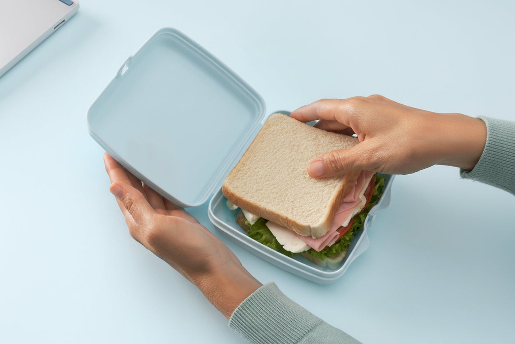 Sandwichera (4)