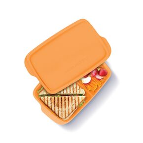 Snack con Divisiones Rectangular 1L (9)